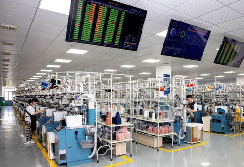 袜业之都的数字转身 浙江诸暨大唐镇的机械与材料转型密码